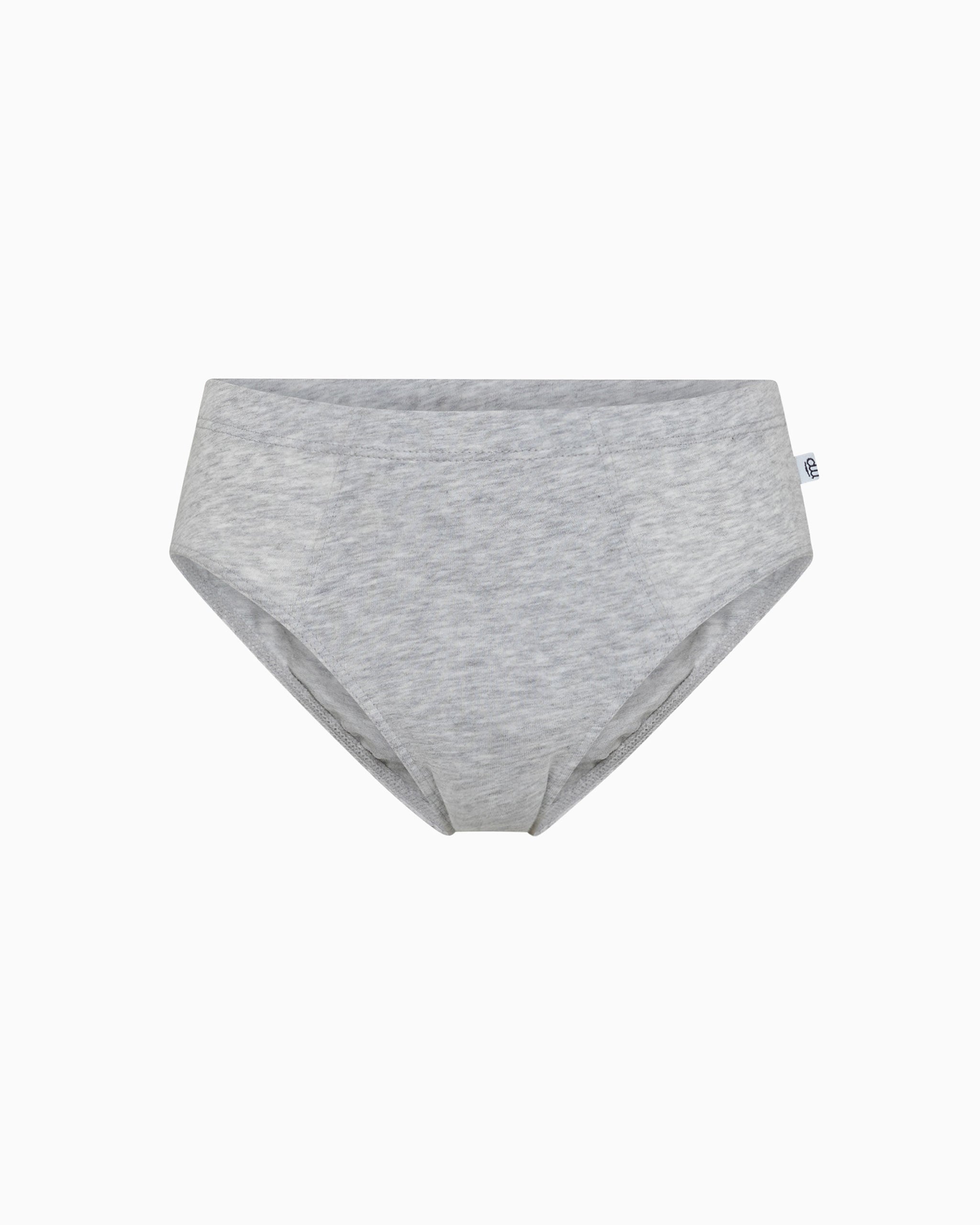 Boys stretch organic cotton briefs 